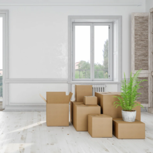 Move in/Move out cleaning